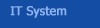 IT System